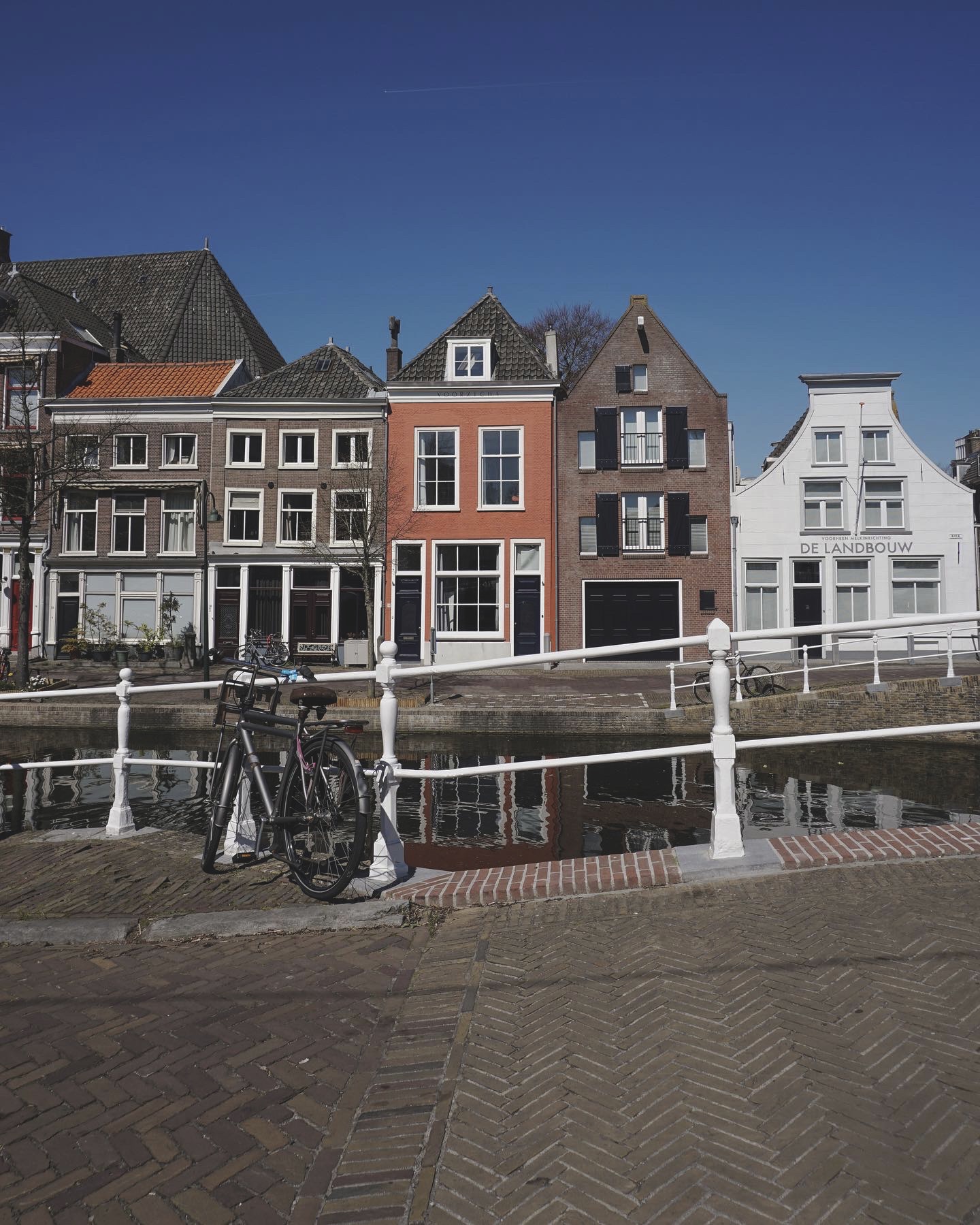 Out of her Shell - 5 giorni ad Amsterdam e dintorni