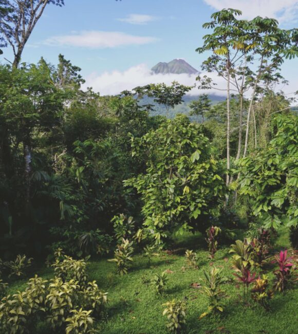 Out of her Shell - Viaggio fai da te in Costa Rica e arcipelago di Bocas del Toro