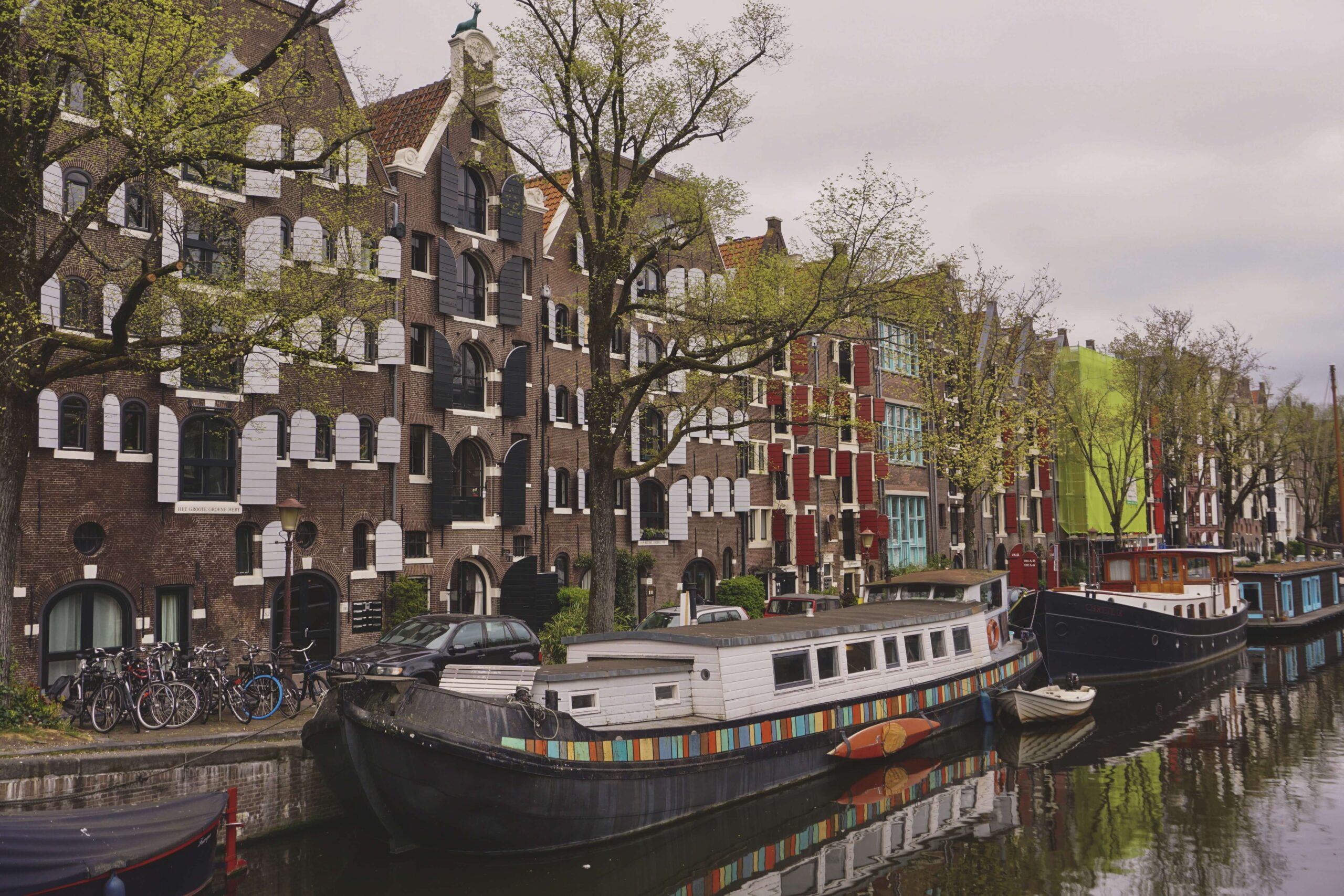 Out of her Shell - 5 giorni ad Amsterdam e dintorni