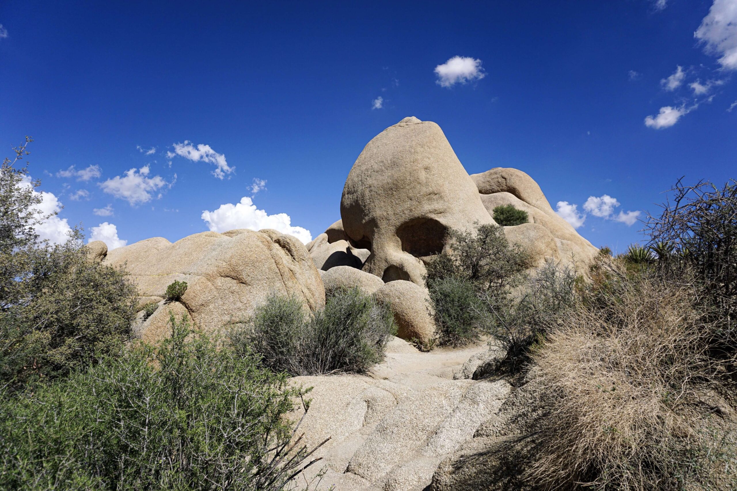 Out of her Shell - California on the road: itinerario di due settimane