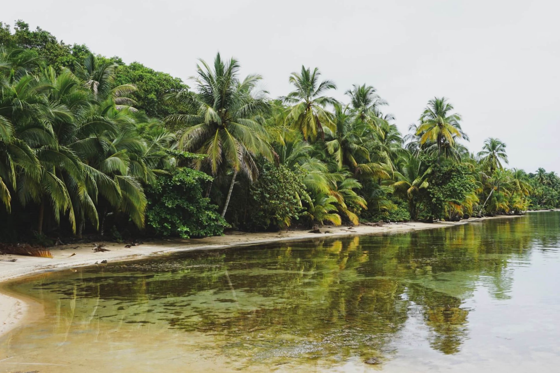 Out of her Shell - Viaggio a Bocas del Toro: luoghi da non perdere e consigli utili