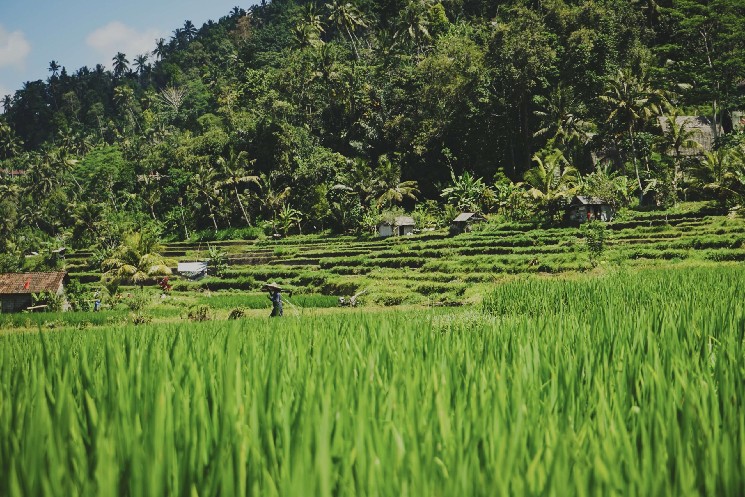 Viaggio a Bali e Isole Gili