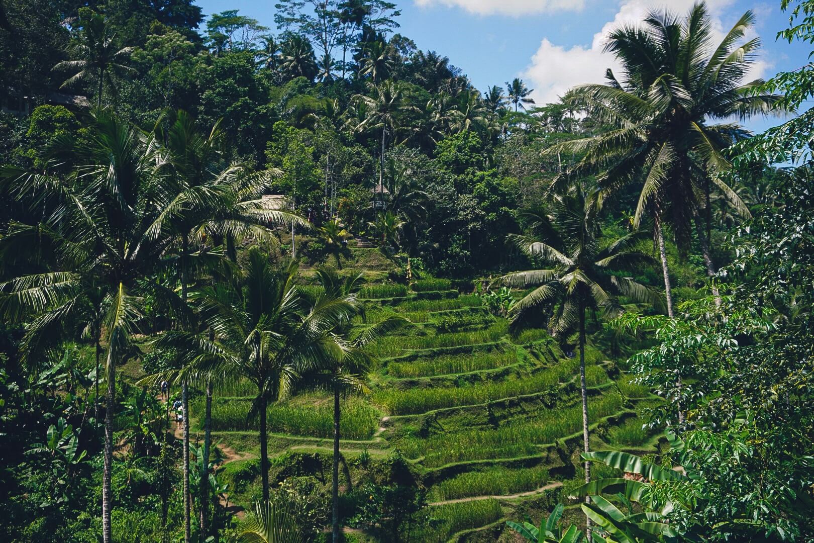 Viaggio a Bali e Isole Gili