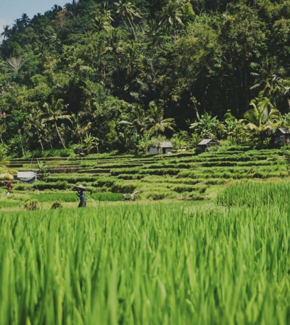 Viaggio a Bali e Isole Gili