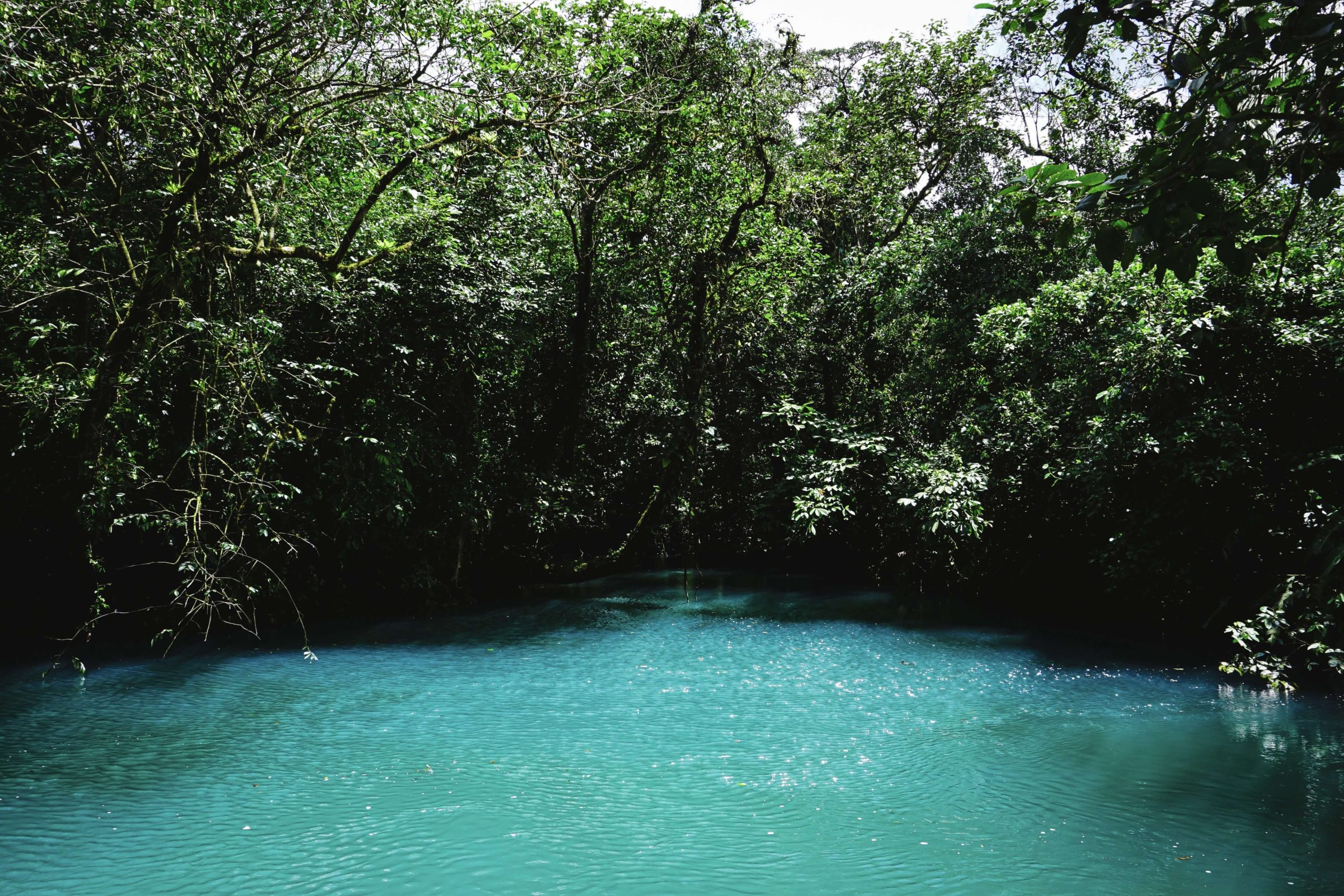Viaggio in Costa Rica e Bocas del Toro: Río Celeste