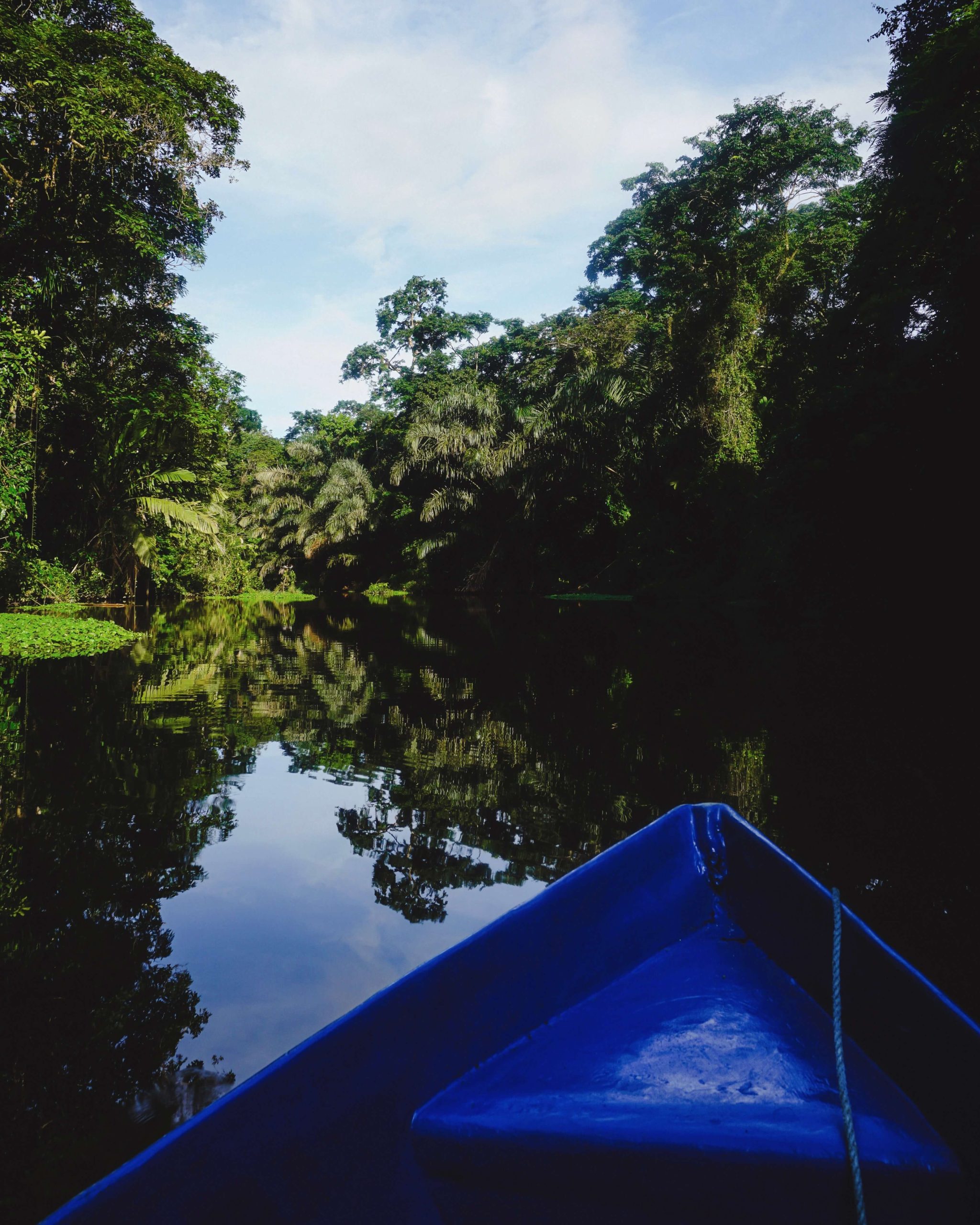 Viaggio in Costa Rica e Bocas del Toro: Tortuguero
