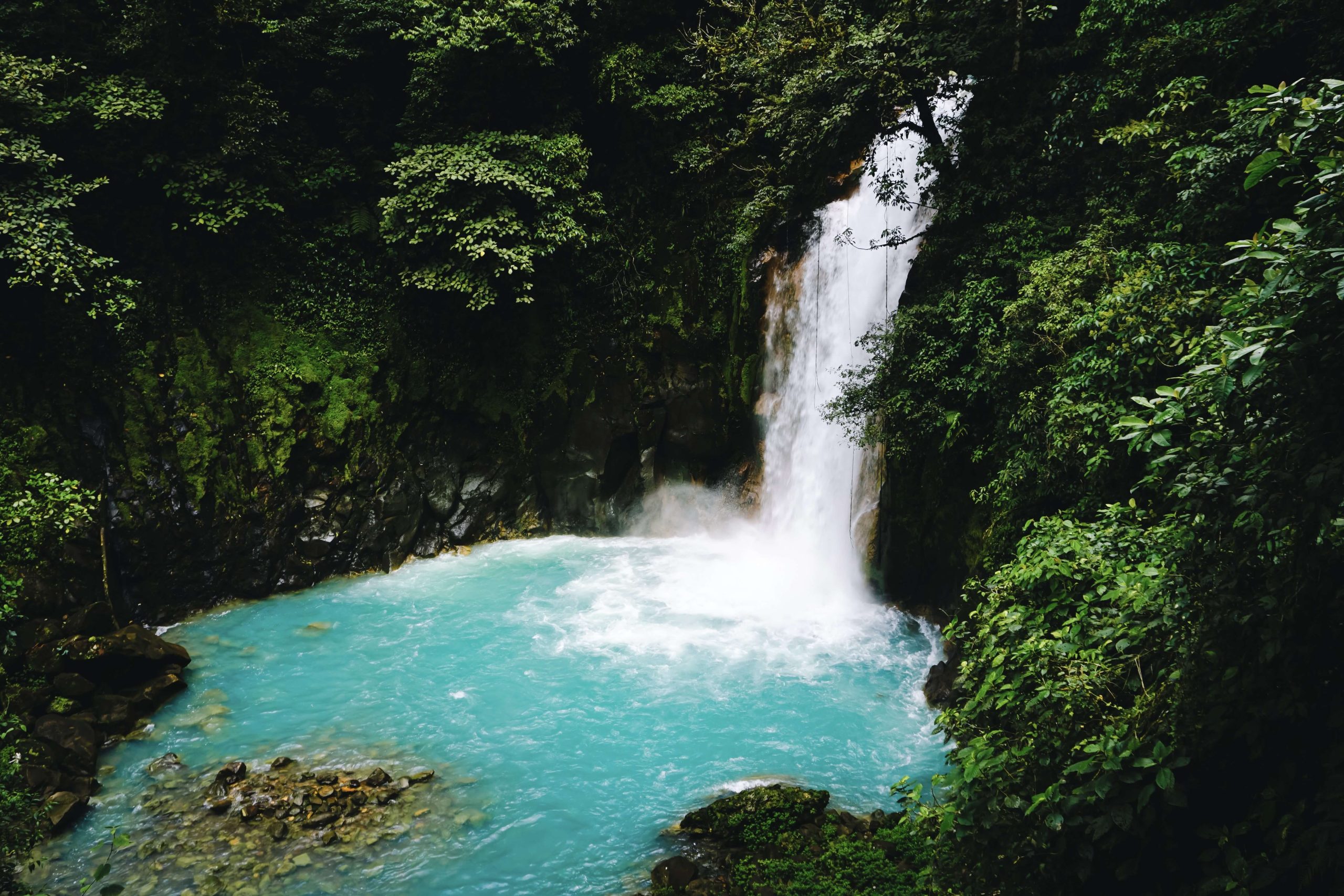 Viaggio in Costa Rica e Bocas del Toro: itinerario e guida di viaggio
