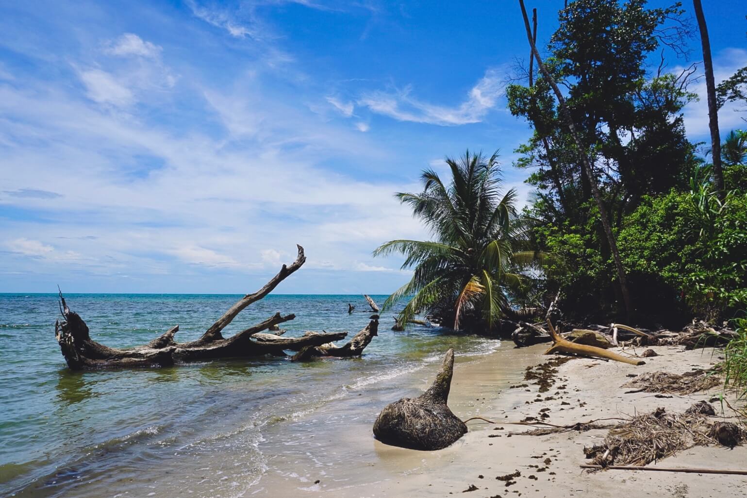 Viaggio in Costa Rica e Bocas del Toro: Cahuita