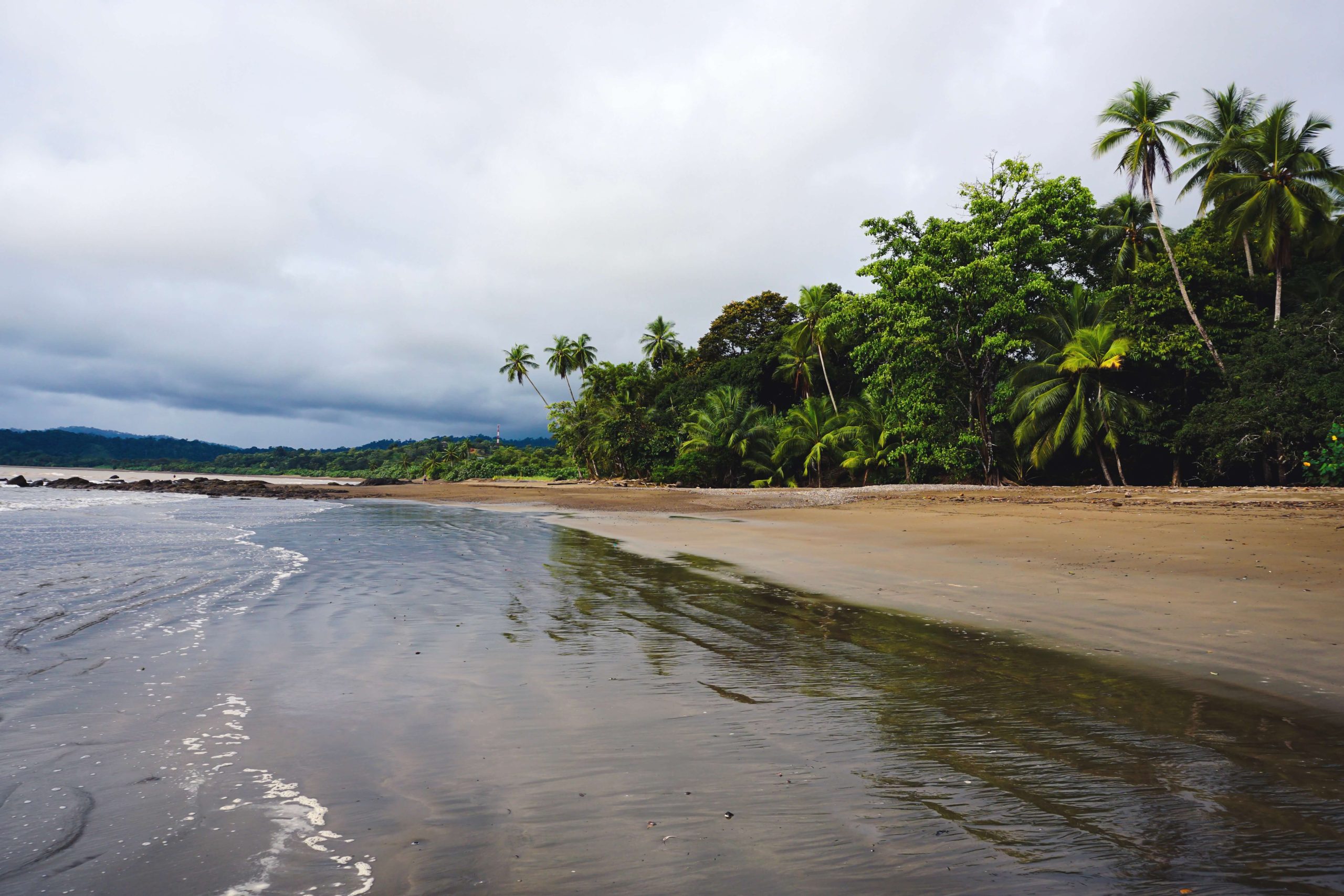 Viaggio in Costa Rica e Bocas del Toro: Playa San Josecito