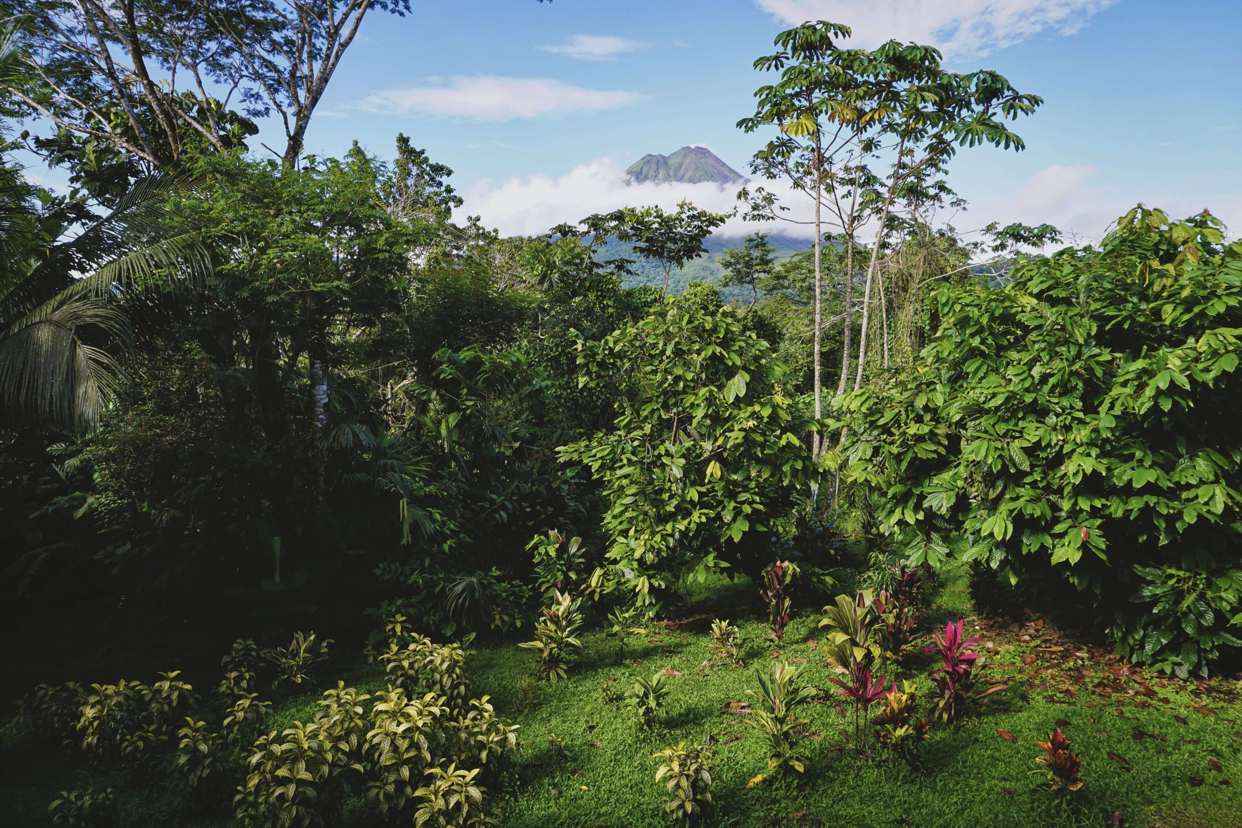 Viaggio in Costa Rica e Bocas del Toro: Vulcano Arenal