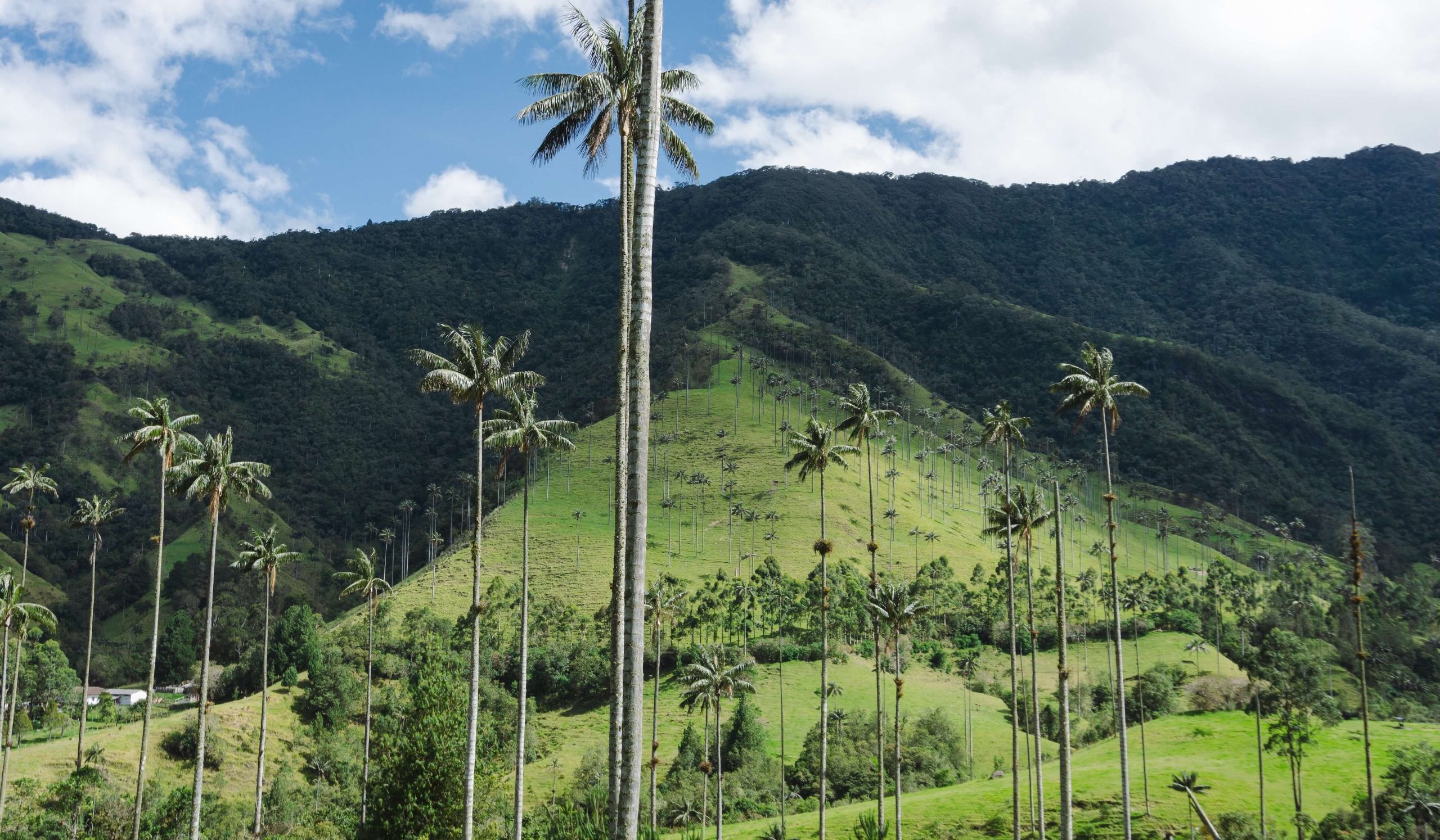 Viaggio in Colombia