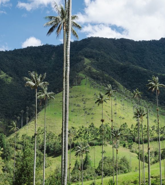 Come organizzare un viaggio in Colombia fai da te