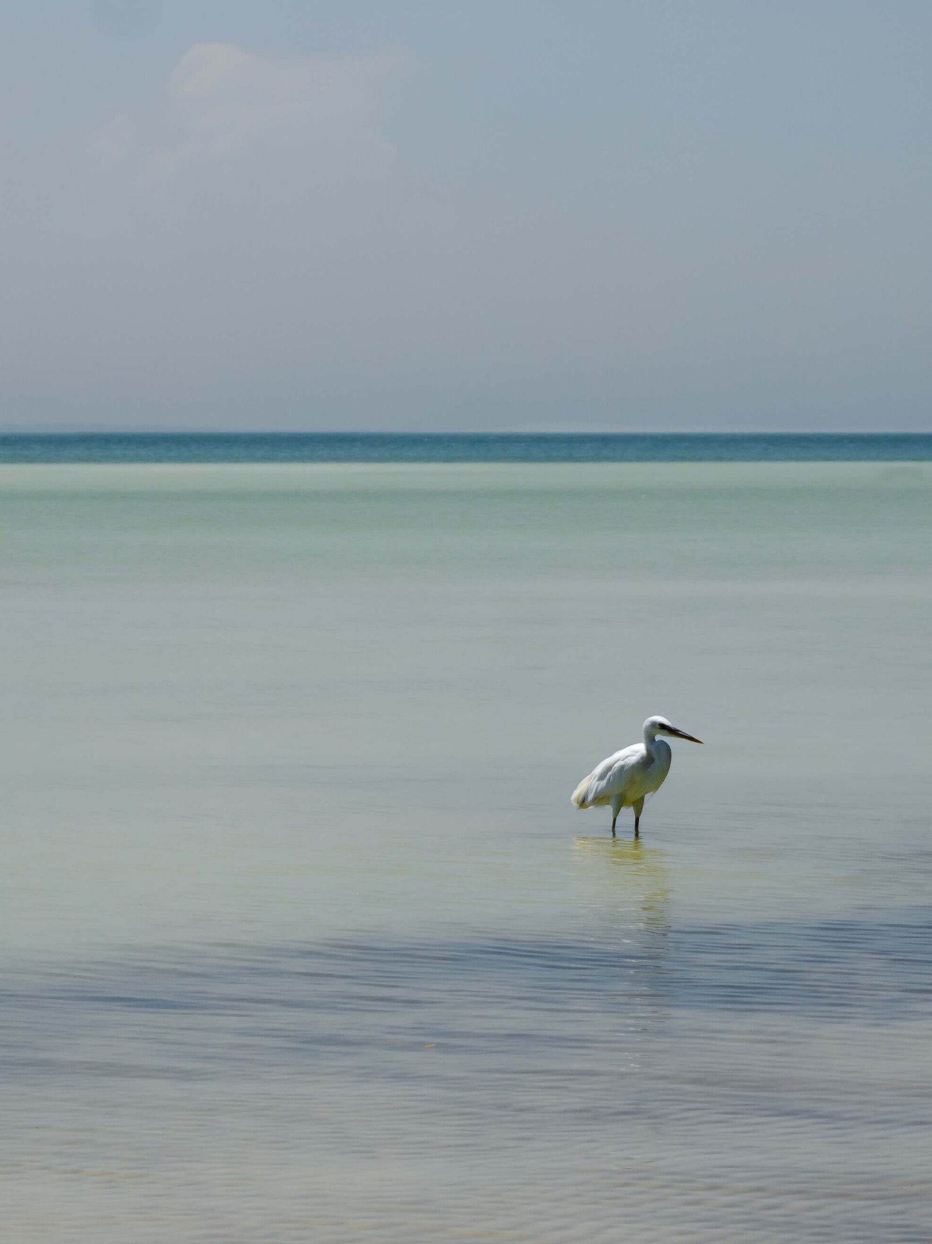 Le spiagge più belle di Holbox: Playa Punta Coco